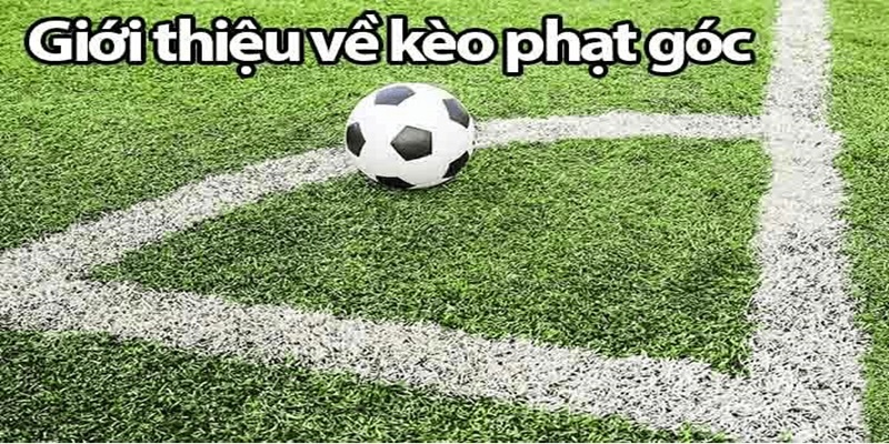 Giới thiệu và hướng dẫn về kèo phạt góc U888