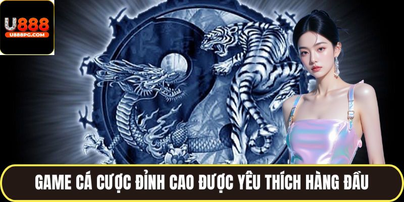 Sơ lược tổng quan về Rồng hổ U888
